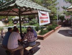 Parkın Ortasında Tercihe Yardımcı Oluyorlar