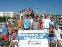 Su Altında 'yunuslara Özgürlük' Eylemi