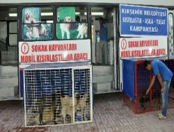 Sokak Hayvanları Rehabilitasyon Merkezi Açıldı