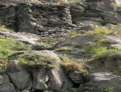 Yağışlar, Kars Kalesi'nin Son Surlarını Da Yıkıyor..