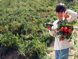 Kırşehir'de Meyve ve Sebze Bereketi Yaşanıyor..