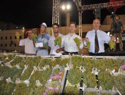 Tarsus Üzüm Ve Kültür Festivali Büyük İlgi Gördü