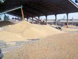 Üreticiler, Ürünlerini Satmaya Başladı