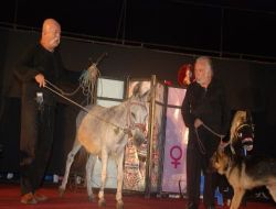 'eşşeklik Bizde Kalsın' Oyunu Ilıca'da Sahnelendi