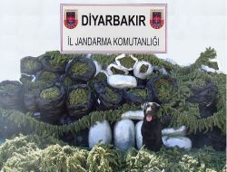 Lice'de Uyuşturucu Operasyonu: 2 Ton 600 Kilo Esrar Bulundu!