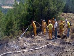 Fethiye'deki Orman Yangını Kontrol Altına Alındı!