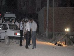 Babasının Dövüldüğünü Gören Kız 3 Kişiyi Öldürdü, 1 Kişiyi Yaraladı