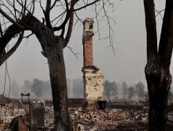 Rusya'da 200 Yerleşim Bölgesi Yangın Tehdidi Altında, Ölü Sayısı 31'e Çıktı