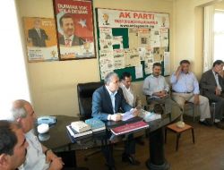 Milletvekili Altun, Erciş'te 'evet' İstedi
