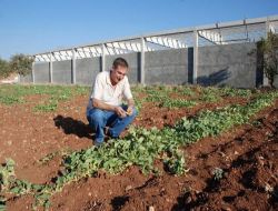 Midyat'ta Turşu Fabrikası Kuruluyor