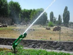 Hayvanat Bahçesi Sakinleri De Sıcaklardan Bunaldı