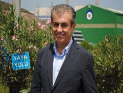 İçdaş, Enerjiye 2,5 Milyar Dolar Yatıracak