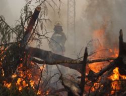 Ukrayna Ve Azerbaycan'dan Rusya'ya Yangın Yardımı