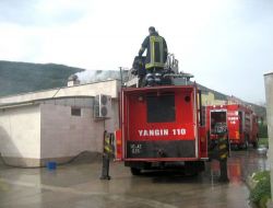 Balıkesir'deki 160 Yangının Çoğunun Altından Sigara Çıktı!