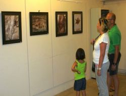 Ahşabın Dokusundaki Giz Bu Sergide Açığa Çıkıyor