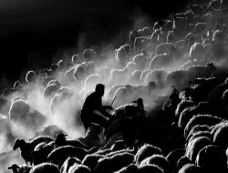 'tarım Ve İnsan' Konulu Fotoğraf Yarışması Sonuçlandı