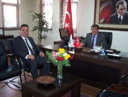 Belçika Gent Belediye Başkan Yardımcısı: Referandum İçin 'evet' Diyeceğim