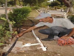 Mezarlıktaki Çiçekler Damlama Sulamayla Sulanıyor