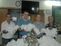 Adana'da Sezonun İlk Kütlü Pamuğu 20,5 Tl'ye Satıldı