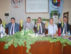 Ak Parti Manisa Milletvekili Tanrıverdi: Üzümde Kalite Arttı, Üreticinin Yüzü Güldü