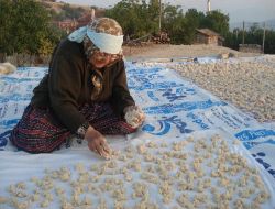 Anadoluda Kış Hazırlıkları Başladı!