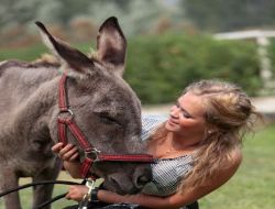 Paraşüt Mağduru Eşek, Artık Kremlin Sarayı'nda Krallar Gibi Ağırlanıyor