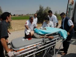 Konya'daki At Arabası Kazasında Ölenlerin Sayısı 4'de Yükseldi