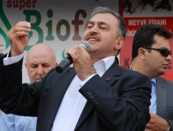 Bakan Eroğlu: Dünyanın En Büyük 10 Ekonomisinden Biri Olacaksak Referandumda 'evet' Demeliyiz