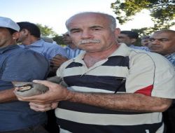 Hatay'da Kene İle Mücadele Edecek Bin Keklik Doğaya Bırakıldı