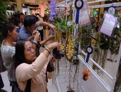 Tayland Orkide Cenneti'ne Thy Sponsorluğu