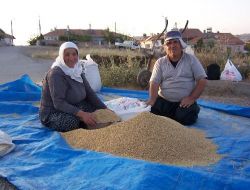 Hasadı Bitiren Çiftçi, Kışlık Erzak Hazırlığına Başladı