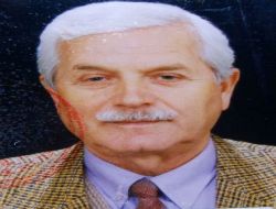 Görele'de Bir Kişi Fındık Bahçesinde Ölü Bulundu