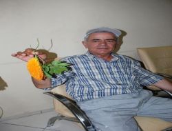 40 Yıldır Devam Eden Mide Ağrıları Kudret Narı İle Son Buldu