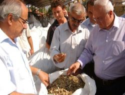 Denizli Valisi Erkmen Çivril'de İncelemelerde Bulundu