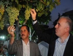 Bağından Üzümle Oruç Açtılar