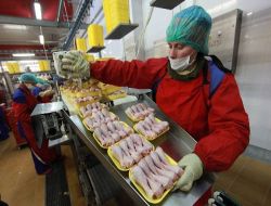 Türkiye'nin Giremediği Rusya Tavuk Pazarına Abd Geri Döndü