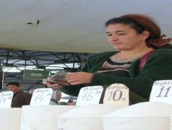 Rusya'nın Buğday İhracatı Yasağı Orta Asya'yı Da Etkiledi