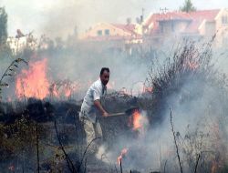 Fethiye'deki 26 Orman Yangınının 20'si İnsan Kaynaklı Çıktı