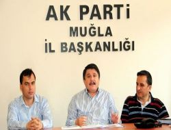 AK Parti Genel Başkan Yardımcısı Tanrıverdi: "Darbe Anayasası Demokrasi Doğurmadı!"