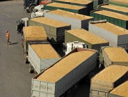 Dünyanın Tahıl Ambarı Rusya, Kuraklık Nedeni İle İthalata Başlıyor..