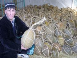 ABD, Özbekistan'dan Meyve Almaya Hazırlanıyor!.