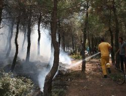 Ormanlık Arazide Çıkan Yangın Büyümeden Söndürüldü