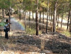 Kadirli'de Çamlık Alandaki Yangın Büyümeden Söndürüldü