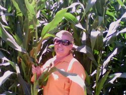 Adana Tahıl Üreticileri Birliği Başkanı Özkan: Mısır Üreticisi Bindiği Dalı Kesiyor