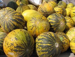 Çumra Kavunu Ramazan Sofralarında Yerini Aldı