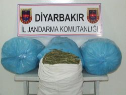 Diyarbakır'da 55 Kilogram Esrar Ele Geçirildi!