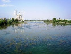 Adana'ya Güzellik Katan Seyhan Nehri'nde Kirlilik Had Safhada