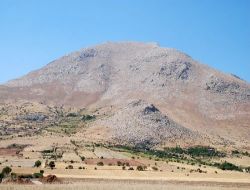 Şardağı Ağaçlandırılacak