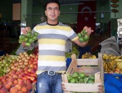 Hava Sıcaklığı Narenciye Üreticisinin Yüzünü Güldürdü