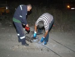 Trafik Kazasında Bir Kişi Yaralandı